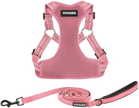 Best Pet Supplies Voyager Adjustable Dog Harness Leash Set with Reflective Stripes for Walking Heavy-Duty Full Body No Pull Vest with Leash D-Ring, Breathable All-Weather – Harness (Pink), S