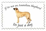  Anatolian Schäferhund Novelty Dog Schlüsselring, wenn ihre nicht