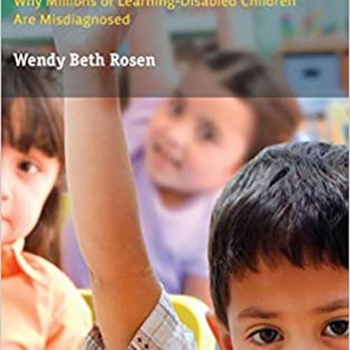 Episode 8: Wendy Rosen, Author of &ldquo;The Hidden Link Between Vision and Learning&rdquo;