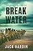 Breakwater: An Ellie O'Conner Novel (Pine Island Coast Florida Suspense Series Book 5)