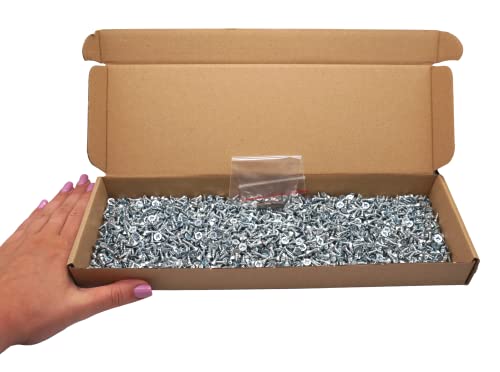 SKIR’CO (100 Stück) Verzinkter Stahl 3,5 x 10 mm Silberholzschrauben, Pozidriv Senkkopf, Spanplattenschrauben, PZ Vollgewinde (100, 3,5 x 10 mm)