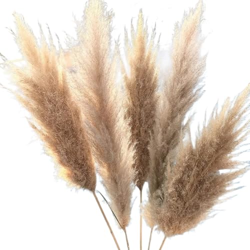 Arreglo de Flores de Pasto de Pampas Seco Grande 10pcs miniatura 1