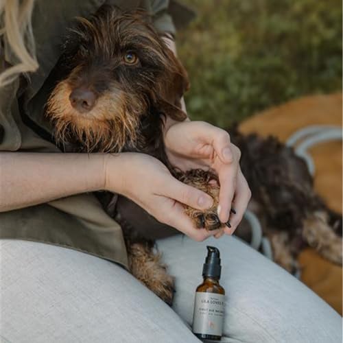 Wundsalbe für Hunde – natürlicher Balsam, mit Aloe Vera und pflanzlichen Ölen, regeneriert und lindert Juckreiz, mit Hyaluron und Zink, FIRST AID BALSAM von LILA LOVES IT, 30 ml