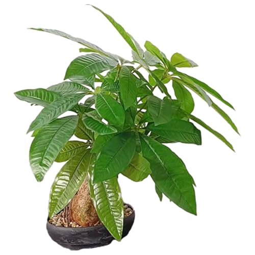 Happyyami Planta en maceta de árbol de dinero simulado. mini plantas suculento decoración hogar arboles artificiales árbol artificial planta verde simulada Adorno de escritorio espuma Green