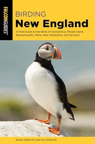 best bird field guide for new england that will change your birdwatching game 8 Birding New England (Birding Series)