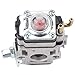 HIPA 300486 43cc Carburetor for Earthquake Auger MC43 E43 E43CE MC43CE MC43E MD43 Tiller Cultivator WE43 WE43E Powermate Edger PEA438 PCV43 Southland SCV43 SEA43 SEA438 Eskimo Mako M43 51.7cc Engine