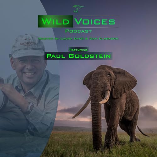 Wild Voices: Starting a safari camp against advice... Plus some bonus photo banter