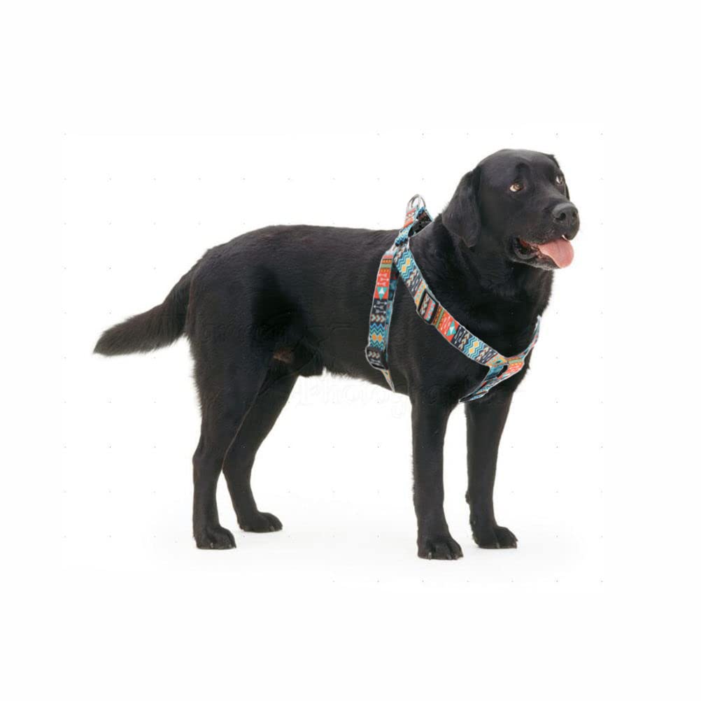 Dog Harness and Leash Set - Image 3