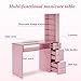 BarberPub Manicure Table with Drawers, Storage Shelves Spa Beauty Salon Station Nail Desk 2673 (Pink)