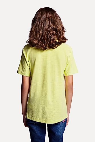 Polo Lisa Pica Pau Flame Tinturada Reserva Mini