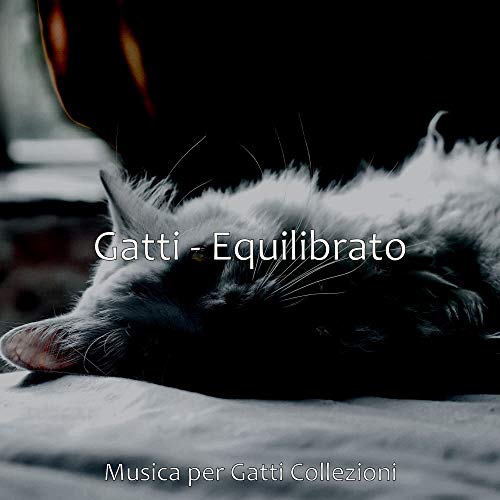  Gattini, Rosso