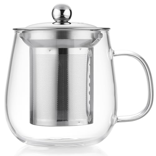 MEISINNI Taza de Té, 500 ml Taza de Té con Infusor de Acero Inoxidable y Tapa, Taza de Vidrio Transparente para Té en Hojas y Flores, Compatible con Cocina de Gas