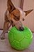 Jolly Pets Medium Soccer Ball Floating-Bouncing Dog Toy, 6 inch Diameter, Apple Green (SB06 GR)