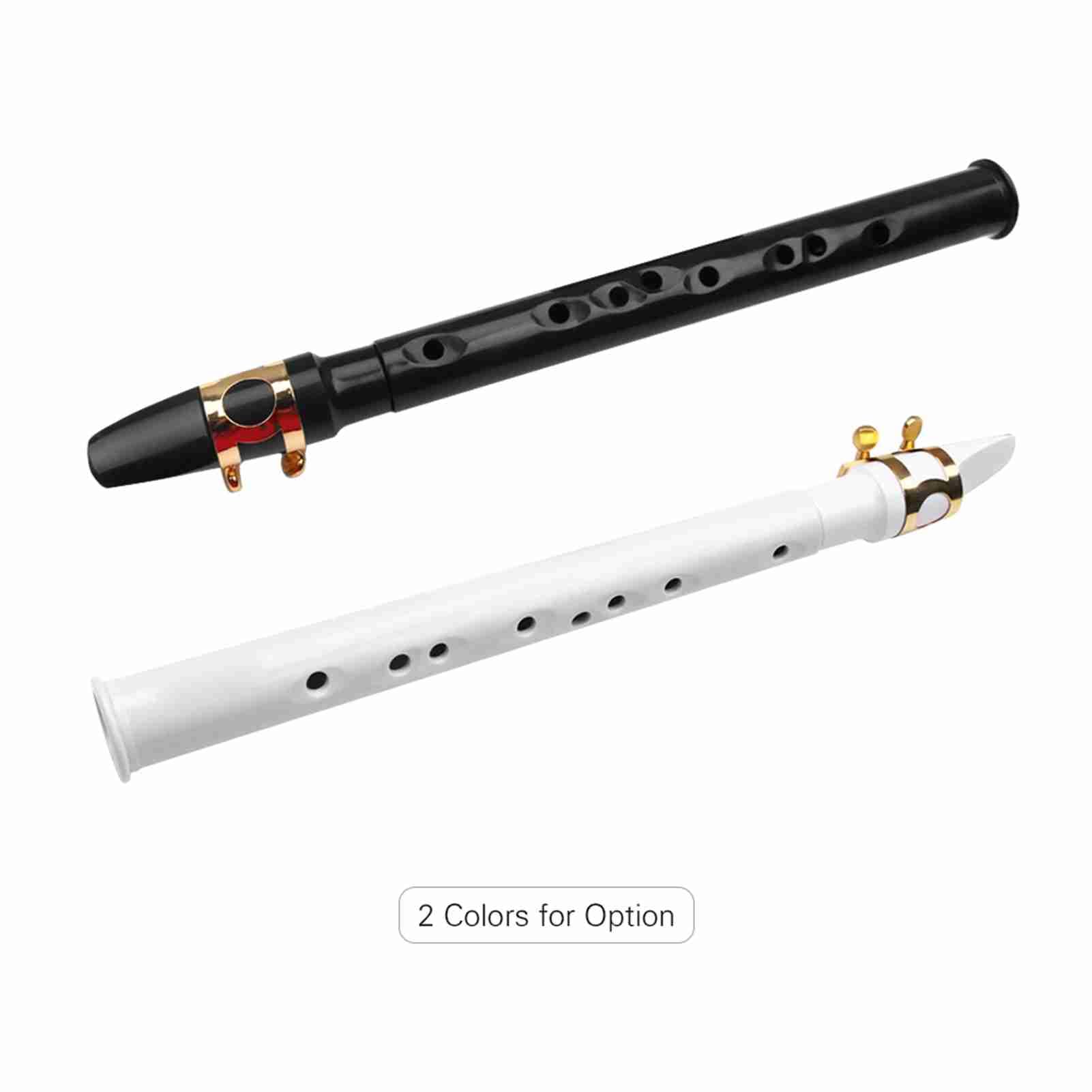 HUIOP Mini sassofono tascabile nero Piccolo sax portatile con borsa da trasporto nera Strumento a fiato,strumento a fiato