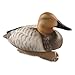 Avery Outdoors GHG Over Size Foam Filled Canvasback Duck Decoys - 6 Pack