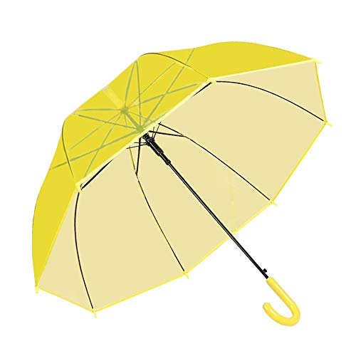 Hipeya Paraguas Transparente, Paraguas Panorámico Automático A Prueba De Viento, Paraguas De Cúpula, Paraguas De Mango Curvo, Paraguas De Viaje De Moda Portátil Cover