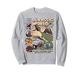 19JWOT00013A-001 Jurassic World: Fallen Kingdom Comic Book Cover Sudadera