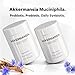 Codeage Akkermansia Muciniphila Probiotic Supplement - 3-Month Supply of Akkermansia & Chicory Inulin - Daily Synbiotic Probiotic Chicory Root - 100 Million AFUs - Gluten-Free - 90 Capsules