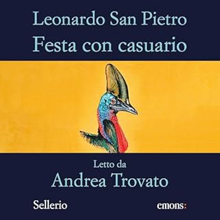 Festa con casuario copertina