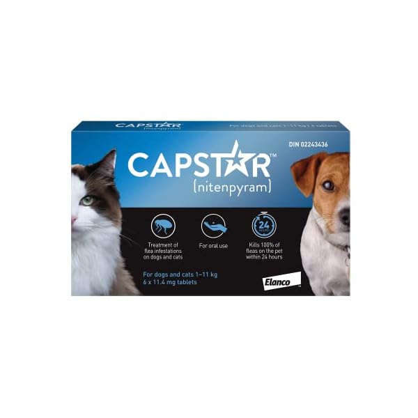 Capstar Oral Flea Treatment for Small Dogs and Cats Weighing 1 to 11 kg – Pack of 6 table in each box Capstar Oral Flea Treatment for Small Dogs and Cats Weighing 1 to 11 kg – Pack of 6 table in each box