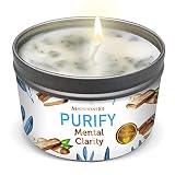 MAGNIFICENT 101 PURIFY Aromatherapy Candle for Clarity - Sage, Palo Santo, Sandalwood, Lavender Scen