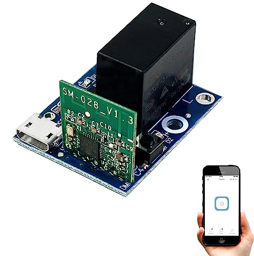 Ewelink - Modulo Relè WiFi, USB DC 5 V Ricevitore