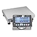 KERN KP-5494 Serie SXS - Bilancia industriale, 30 kg, colore: Grigio chiaro/Grigio scuro