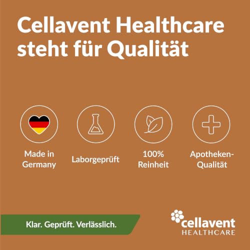 Bio Ingwer Kapseln Hochdosiert 700mg - 3 Monatsvorrat Vegan, PHYTHOLISTIC® – Ansicht 7