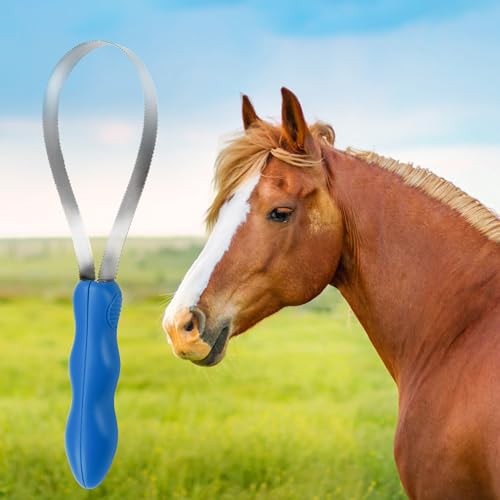 DiDiBirDi Dual-Sided Shedding Blade Dogs Hair Brush - Stainless Steel Grooming Horse Tool with No-slip Grip - Fine Teeth for Long, Short
