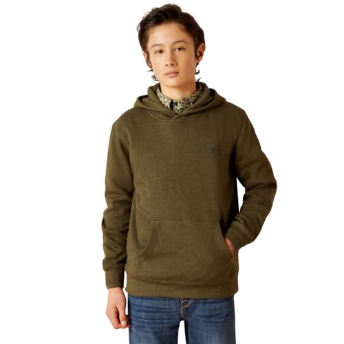 Ariat Boys' Faded Hoodie