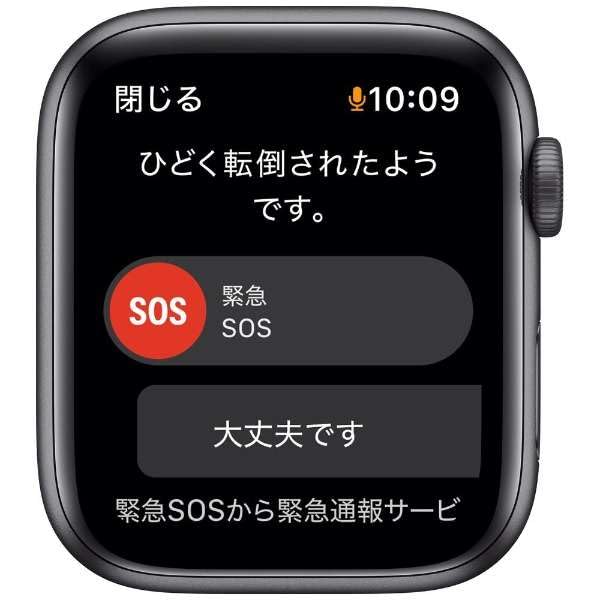 Amazon.co.jp: 【整備済み品】Apple Watch SE (GPSモデル) Nike+ 40mm