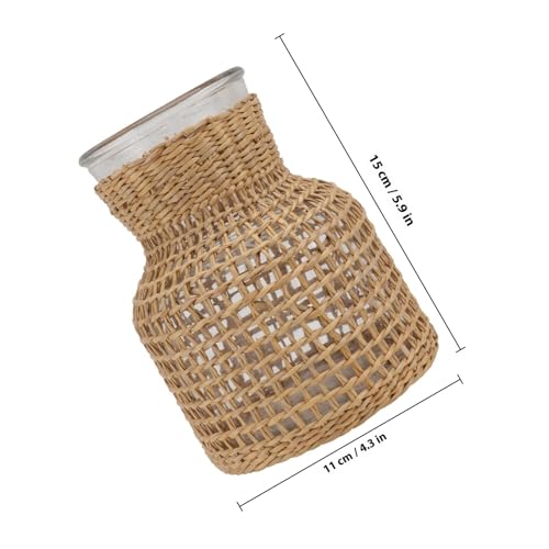 Vase à fleurs avec support pratique en verre pour plantes hydroponiques