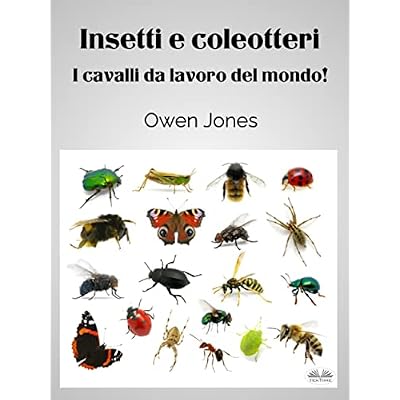 Insetti E Coleotteri