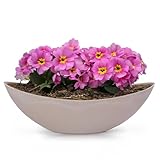 matches21 HOME & HOBBY