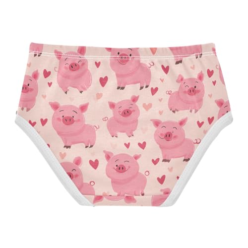 Wusikd Pigs Hearts Girls' Underwear Cotton Cute Girls Briefs Soft Toddler Underwear 2T2