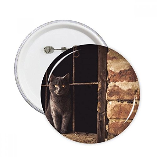 Photo chat pins pour personnaliser votre veste en jean au quotidien