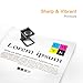 E-Z Ink Replacement Ink Cartridge for Canon 245XL 246XL Ink Cartridge Combo Pack (1 Color, 1 Black)