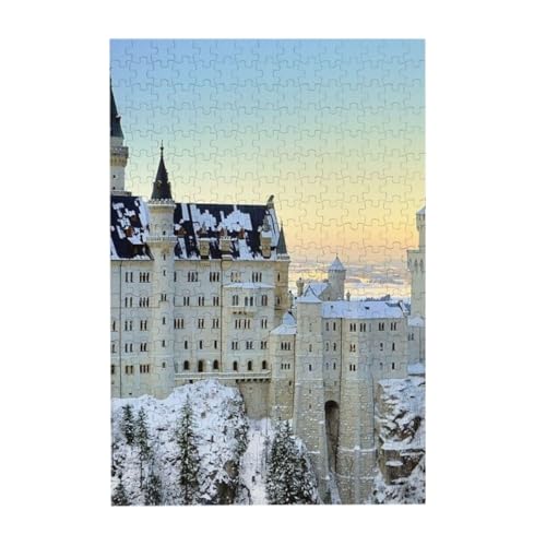 WO\[pY hCcmCV@V^C̐ 300s[X ؐpY ]`W DiỷƂ̑ ʃv[g yV sN`ApY 蕨 a LO j NX}X 300pcs