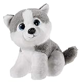 weichgefüllt mit Beanbags Heunec 275775 Plüschtier, Hund, Husky, grau/weiß