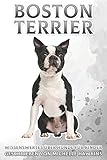 4340 boston post road  Boston Terrier: Wissenswertes über Hunde für Kinder #43