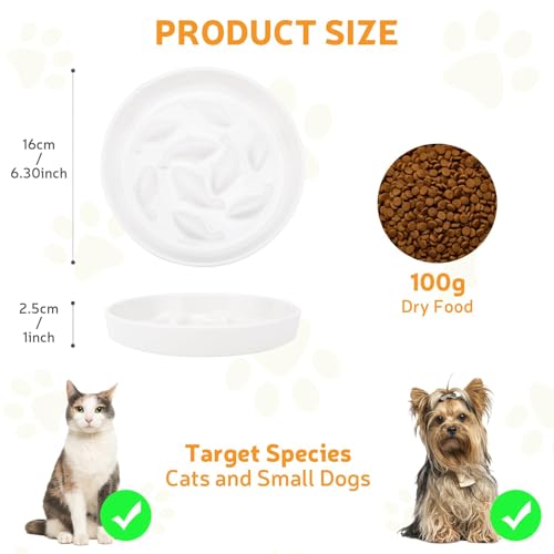 GUWINA Keramik Anti Schling Napf Katze, 16 cm Breite Antischlingnapf Katze für Trockenfutter und Nassfutter, Flache Slow Feeder für Katzen und Kleine Hunde, Spülmaschinenfest (Weiß)