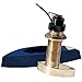 Raymarine 50/200Khz S/T Ls Bronze Thru-Hull Dsm30