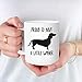 Chilltreads Weiner Dog Mug, Proud to Have A Little Wiener, Funny Dachshund Coffee Cup for Doxie Dog Lovers Birthday Gifts, 11 oz