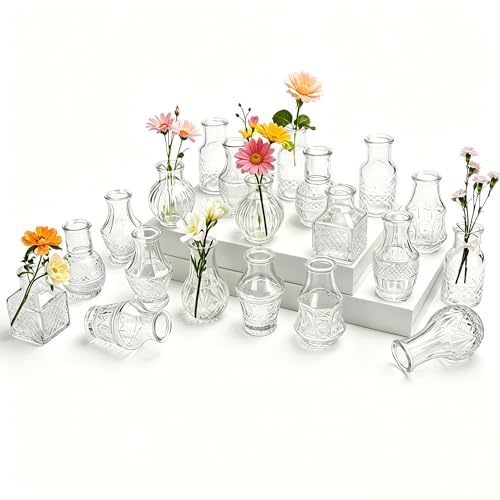 Otauoaea Petit Vase en Verre,Lot de 20 Vases en Verre Vintage Mini Vase Deko Set Différentes Décorations de Mariage Transparent Tailles Vasen de Fleurs