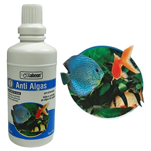 ALCON LABCON ANTIALGAS 100ML