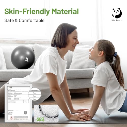 Slim Panda Pilatesbal met pomp, 22,5 cm kleine oefenbal, anti-burst mini-yogabal voor stabiliteit, training, barre, kernsterkte, fysiotherapie, balans, stretching - Afbeelding 4