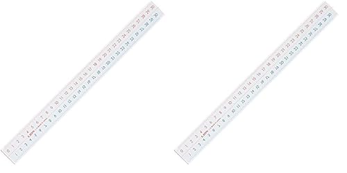 ライオン事務器 ピックアップ定規 目盛30cm L-10 (× 2)