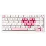 YUNZII B75 PRO Wireless Mechanical Keyboard,75% Gaming Keyboard Gasket Hot Swap Custom Keyboard with Knob,Pre-lubed Switches RGB,Bluetooth/Type-C/2.4G (White, Cocoa Cream V2 Switch)