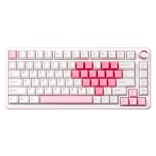 YUNZII B75 PRO Wireless Mechanical Keyboard,75% Layout with Knob,Hot Swap Gasket Structure,Creamy Pre-lubed Switches,RGB Backlit,Bluetooth/Type-C/2.4G for Win/Mac (White, Milk Switch)