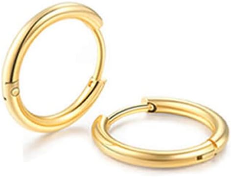 Small Unisex Cartilage Hoop Earrings,316L Surgical Stainess Steel Huggie Hoop Helix Lobes Hinged Sleeper Earrings for Men Women(7mm 8mm 9mm 10mm,Silver&Gold)
